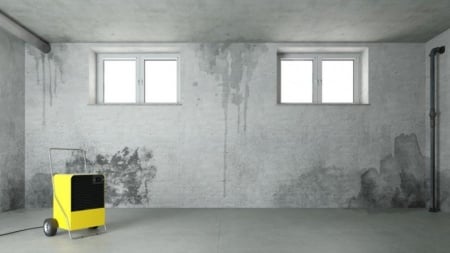 Sp&eacute;cialiste de l'humidit&eacute; &agrave; Aiserey, quelles comp&eacute;tences v&eacute;rifier ?