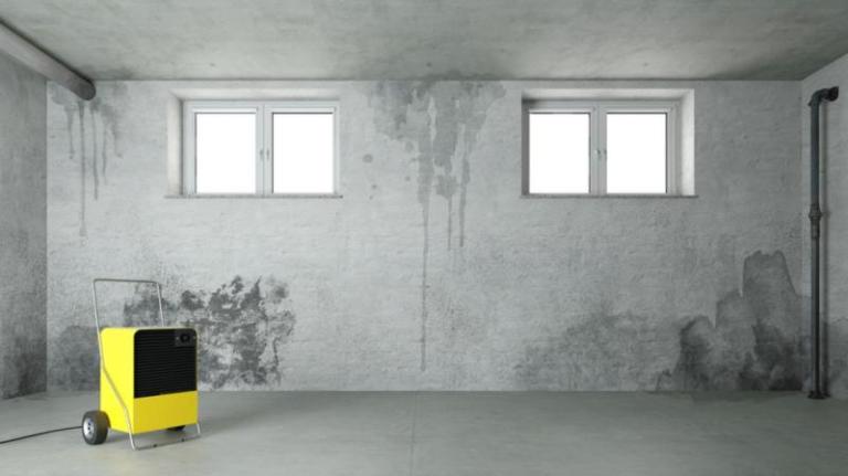Spécialiste de l'humidité à Aiserey, quelles compétences vérifier ?