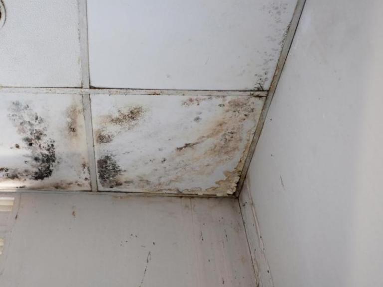 Lutter contre l'humidité grâce au dépannage professionnel à Aiserey