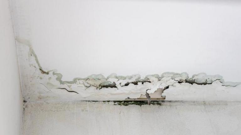 Comment prévenir et traiter les infiltrations d'eau dans votre logement
